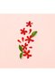Bloom - Eau de Parfum 50 ML - 2