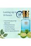 Oil-Based Perfume for Men – Inspired by Bergamote 22– Alcohol-Free - Long-Lasting (7–9 Hour Wear) Citrus Aromatic Scent with Bergamot, Vetiver & Musk – Clean Fresh Fragrance (30 ML) - 6