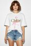 Women's Crew Neck Flamingo Printed Oversize Cotton t Shirt White - 3