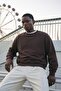 Men's 100% Cotton Regular Fit Brown Sweatshirt - 3
