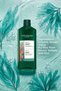 Purifying Sebum Balancing Vegan Shampoo 300 ml for Oily Hair - 2