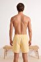 Yellow-White Striped Seersucker Fabric Normal Length Regular Fit Swim Trunks Tmnss23Ds00004 - 3