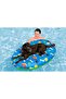 Fetchin' Fun Pet Pool Float - 2