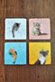 Natural Stone Coasters Colorful Cats Printed Set of 4