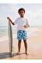 Shark Printed 6-9 Years Old Swim Shorts - Blue