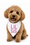 Lil Sis & Lil Bro Written Dog Scarf Bandana