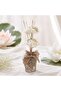 Water Lily Reed Diffuser 75ml -natural