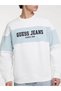 Erkek Sweatshirt