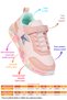 Heart Daily Velcro Girls' Sports Shoes - 3