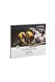 Rembrandt Polycolor Dry Paint 24 Colors - 3
