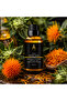 Safflower Seed Oil 20 ml – 100% Pure Cold Pressed – Carthamus Tinctorius – Safflower Oil - 5