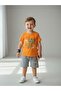 Boy's Cotton Dinosaur Printed Shorts Set - 6