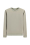 Crew Neck Regular Fit Cotton Basic Sweatshirt - 2