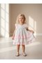 Girl's Colorful Ruffle Detailed Layered Dress - 2