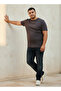Men Regular Fit Crew Neck Short Sleeves One Piece Print T-shirt - 3