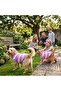 Striped Purple, Pink, White Sweater for Cat and Dog - 4