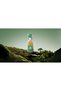 MALAK PERFUME OIL 12مل