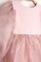 Powder Long Sleeve Organza Baby Girl Party Dress - Sage - 4