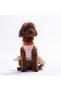 Florelle Floral Patterned Cat and Dog Dress - Cat and Dog Outfit - 3