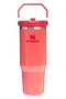 The iceflow flip straw 2.0 tumbler 0.89l colorful