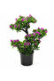 Artificial Bonsai Tree with Purple Blooms — 35 cm | Black Vase | Premium Home Décor