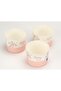 Home Pro 12-Pcs Disposable Multicolor Baking Paper Muffin Cups, Model 5203 - 3