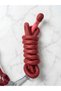 Horse Halter Set |   Yular + Spare Rope Red - 2