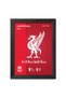 Alayra Liverpool FC White River Bird 3D Textured Logo Football Club Poster Framed Paintings
