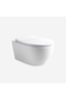 Wall-mounted toilet bowl 101 |
