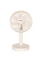Battery-powered Desk Fan DF5 - 2