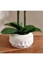 Real Touch Orchid In Ceramic Pot 55.5x20x63.5cm - White - 2