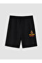 Timeless Clothing & Timeless Choices Licensed Printed Boys' Shorts - 3