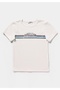 Slim Fit Round Neck Printed Women's Ecru Short Sleeve T-Shirt - 5