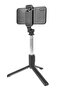 Q01 Extendable Selfie Stick Tripod Bluetooth Remote and Fill Light Phone Recording - 2