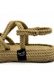 6464 Camel - 2