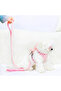 Pet Plush Teddy Bear Chest Travel Collar Set - 4