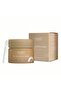 10395 – MAKE OVER 22-Lip Sleeping Mask (Vanilla) - 3