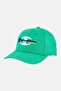 Men Embroidered Adjustable Cap, Green