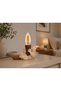 Premium Decorative Table Lamp with Ornithorncat Figure, Special Design Lampshade - 2