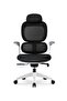 Modern Executive Ergonimic Office Chair With Sliding Seat and Headrest, White Frame for Office, Home and Shops, Black