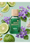 WILD BLOOM Perfume For Men | Eau De Parfum - 50ml | Long Lasting Aromatic Scent | Travel Size
