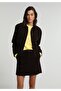 Mini Straight Zipper Women's Brown Skirt