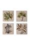 Travertine Single Coaster with Olive Oil Patterned Wooden Box - 3