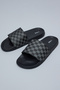 Checked Slides - 4