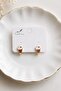 Perforated Cupcake Capcake Model Children's Earring 316L Steel Earring 2 Pieces - 2