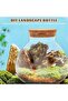 Sealed Glass Ecological Bottle Spherical Terrarium for Moss Landscaping and Indoor Micro Lan - 4