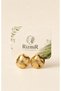 Gold Sea Shell Design Women's Earrings
