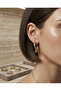 316L Steel Gold Color Asymmetric Ring Model Earrings - 2