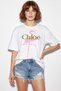 Women's Crew Neck Flamingo Printed Oversize Cotton t Shirt White - 2