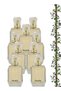 9 Pieces Paradis Pefume 100ML